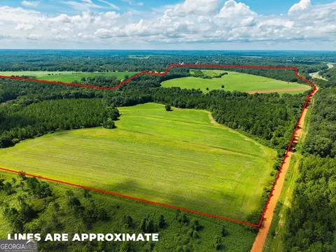 266 Ac Loven Mill Rd, Richland, GA 31825 photo 2