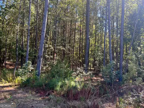 0 Parks Rd, Forsyth, GA 31029 photo 4