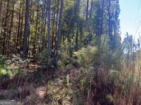 0 Parks Rd, Forsyth, GA 31029 photo 5