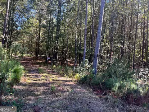 0 Parks Rd, Forsyth, GA 31029 photo 3