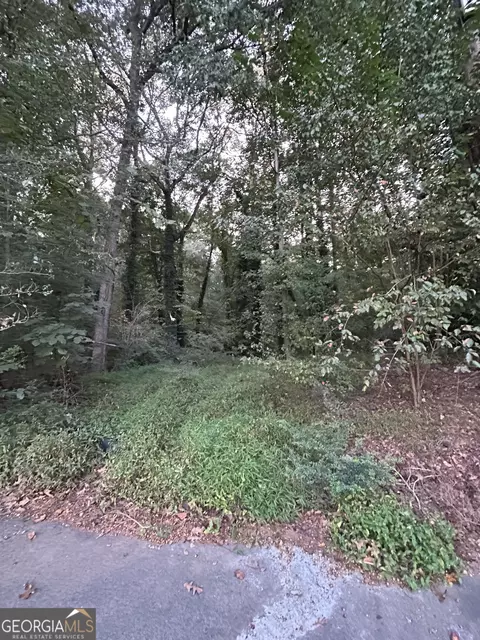 3740 Las Olas Dr, South Fulton, GA 30349