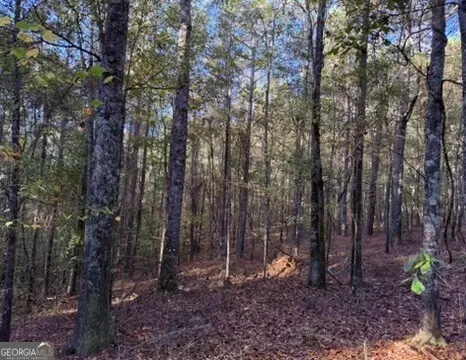 977 Whooping Creek Rd, Carrollton, GA 30116