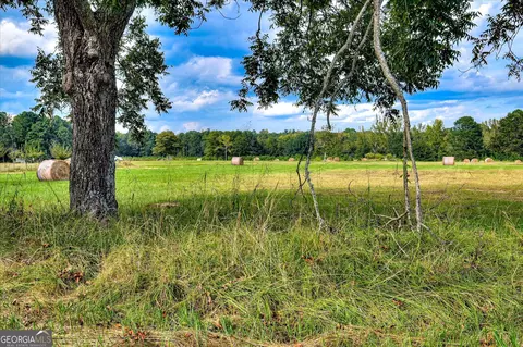 215 Lanier Rd, Johnston, SC 29832 photo 62