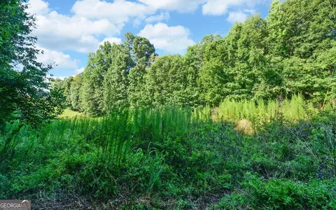 0 Hwy 17, Royston, GA 30662