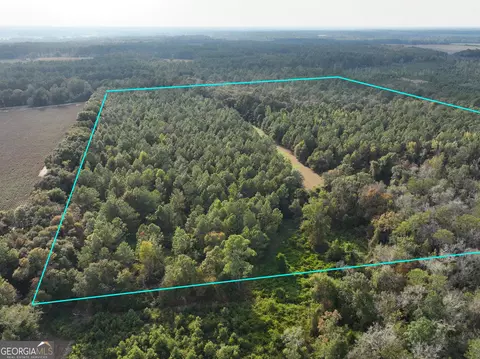 0 Mj Taylor Rd, Hahira, GA 31632