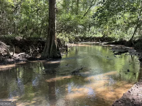 032 Wallace Buie Rd, Webb, AL 36376