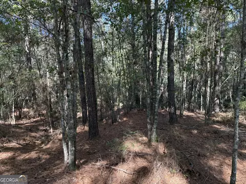 032 Wallace Buie Rd, Webb, AL 36376 photo 4