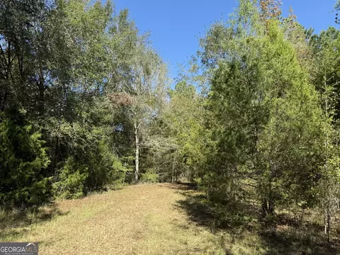 032 Wallace Buie Rd, Webb, AL 36376 photo 6