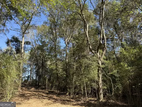032 Wallace Buie Rd, Webb, AL 36376 photo 3