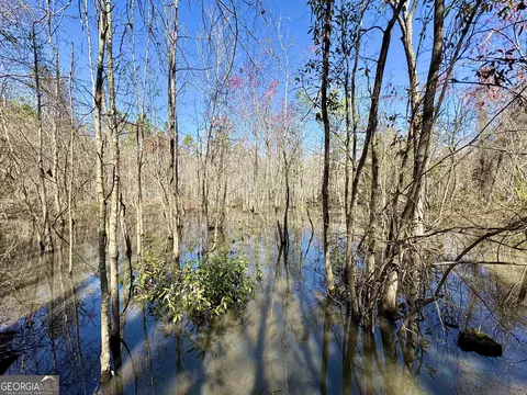 0 Stripling Rd, Dexter, GA 31019 photo 5