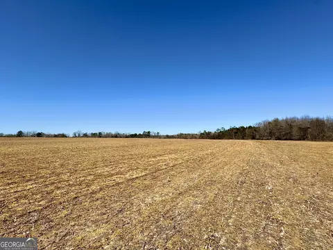 0 Stripling Rd, Dexter, GA 31019 photo 7