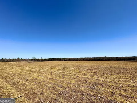 0 Stripling Rd, Dexter, GA 31019 photo 10