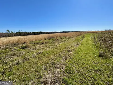 0 Stripling Rd, Dexter, GA 31019 photo 12