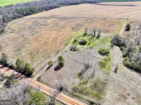 0 Stripling Rd, Dexter, GA 31019 photo 25