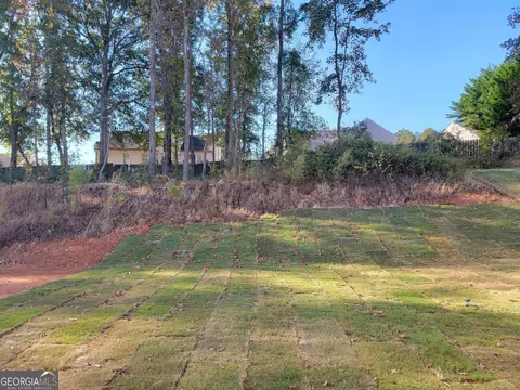 362 Silverleaf Trl, Bethlehem, GA 30620 photo 25