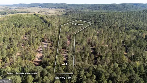 3797 Hwy 140 NE, Rydal, GA 30171