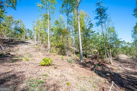 3793 Hwy 140 NE, Rydal, GA 30171 photo 18