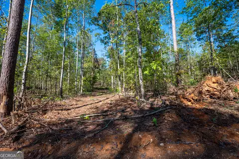 3793 Hwy 140 NE, Rydal, GA 30171 photo 7