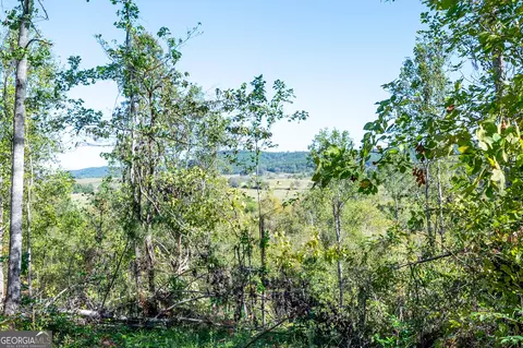 3793 Hwy 140 NE, Rydal, GA 30171 photo 21