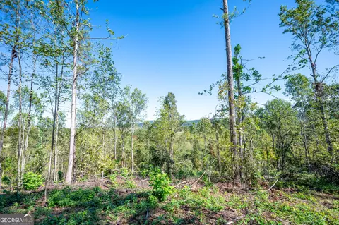3793 Hwy 140 NE, Rydal, GA 30171 photo 22