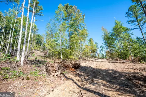 3793 Hwy 140 NE, Rydal, GA 30171 photo 8