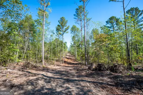3793 Hwy 140 NE, Rydal, GA 30171 photo 5