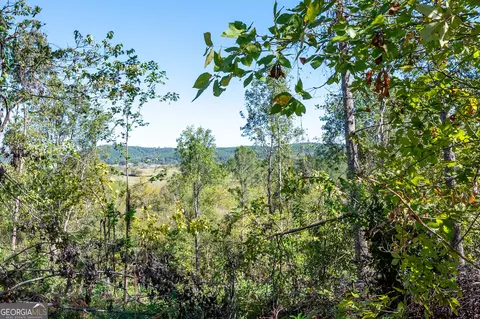 3793 Hwy 140 NE, Rydal, GA 30171 photo 23