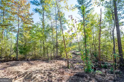 3793 Hwy 140 NE, Rydal, GA 30171 photo 9