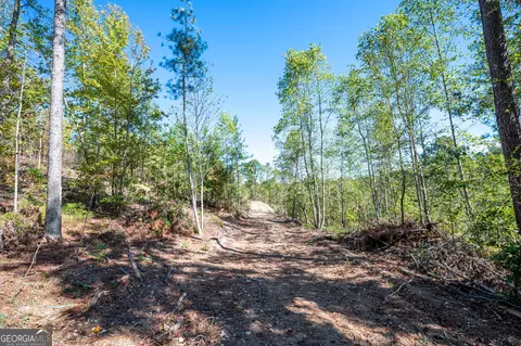 3793 Hwy 140 NE, Rydal, GA 30171 photo 17