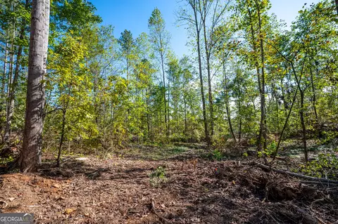 3793 Hwy 140 NE, Rydal, GA 30171 photo 6