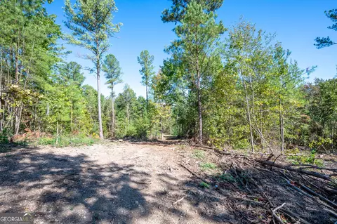 3793 Hwy 140 NE, Rydal, GA 30171 photo 19