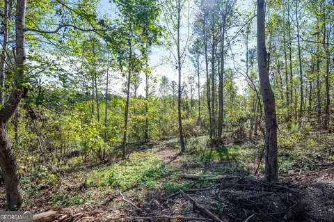 3793 Hwy 140 NE, Rydal, GA 30171 photo 24