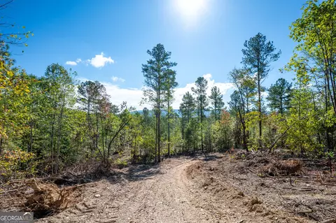 3793 Hwy 140 NE, Rydal, GA 30171 photo 15