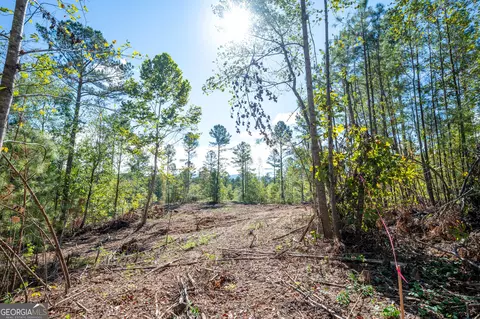 3793 Hwy 140 NE, Rydal, GA 30171 photo 16
