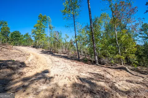 3793 Hwy 140 NE, Rydal, GA 30171 photo 10