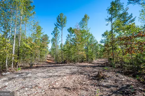 3793 Hwy 140 NE, Rydal, GA 30171 photo 4