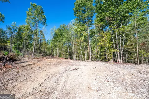 3793 Hwy 140 NE, Rydal, GA 30171 photo 11
