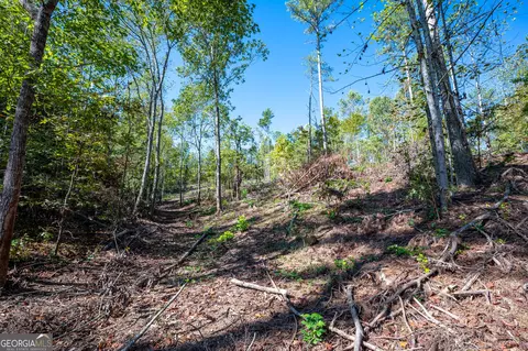 3793 Hwy 140 NE, Rydal, GA 30171 photo 20