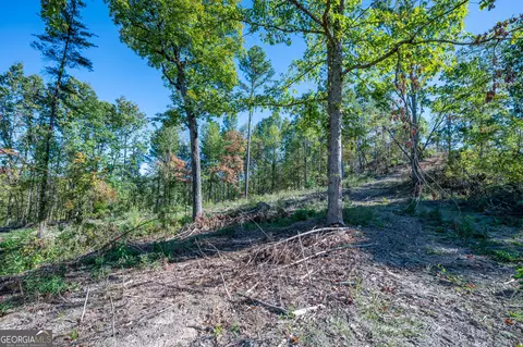 3875 Hwy 140 NE, Rydal, GA 30171 photo 5