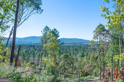 3875 Hwy 140 NE, Rydal, GA 30171 photo 9