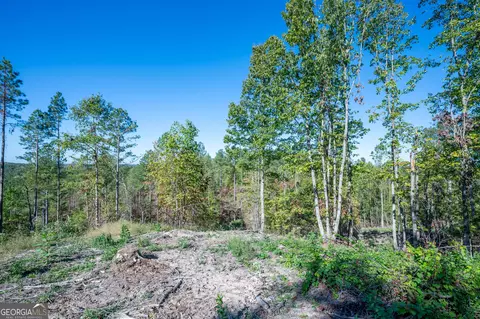3875 Hwy 140 NE, Rydal, GA 30171 photo 4