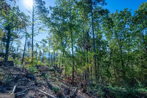 3875 Hwy 140 NE, Rydal, GA 30171 photo 7