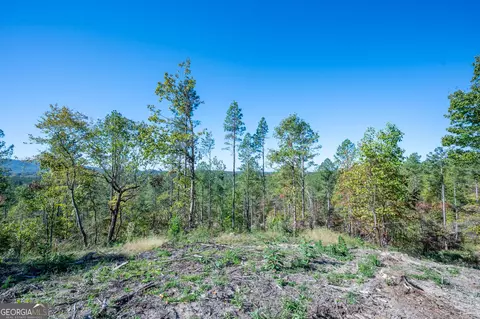 3875 Hwy 140 NE, Rydal, GA 30171 photo 3