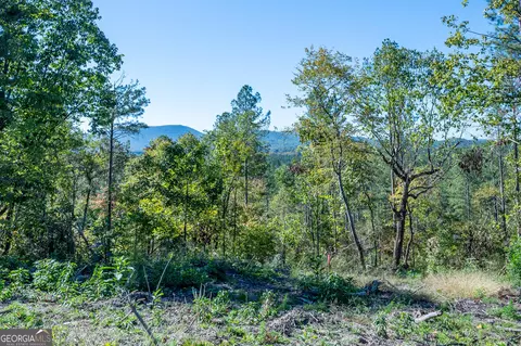 3875 Hwy 140 NE, Rydal, GA 30171 photo 2