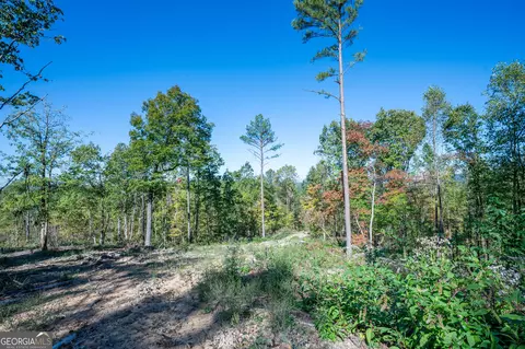 3875 Hwy 140 NE, Rydal, GA 30171 photo 8