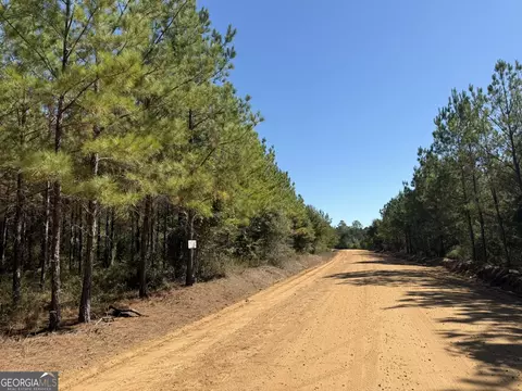 0020 Barnes Rd, Gordon, AL 36343 photo 6