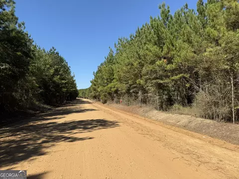 0020 Barnes Rd, Gordon, AL 36343 photo 5