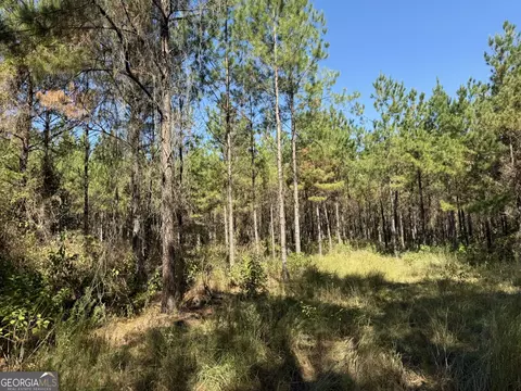 0020 Barnes Rd, Gordon, AL 36343