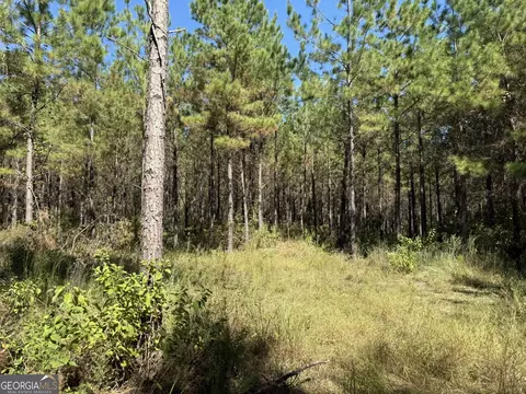 0020 Barnes Rd, Gordon, AL 36343 photo 3