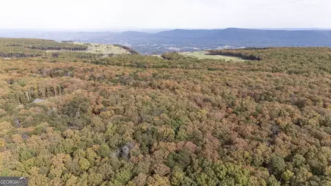 lot29 30 Old State Rd 157, Menlo, GA 30731